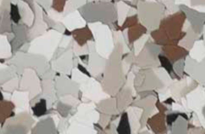 Coyote sample